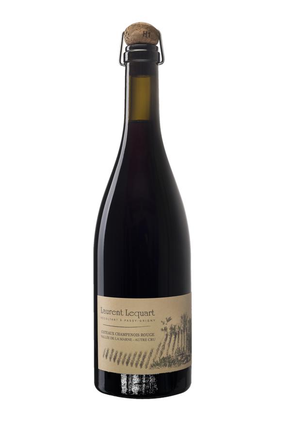 Bouteille de Coteaux Champenois rouge Le Côteau de Lolo, Champagne Laurent Lequart