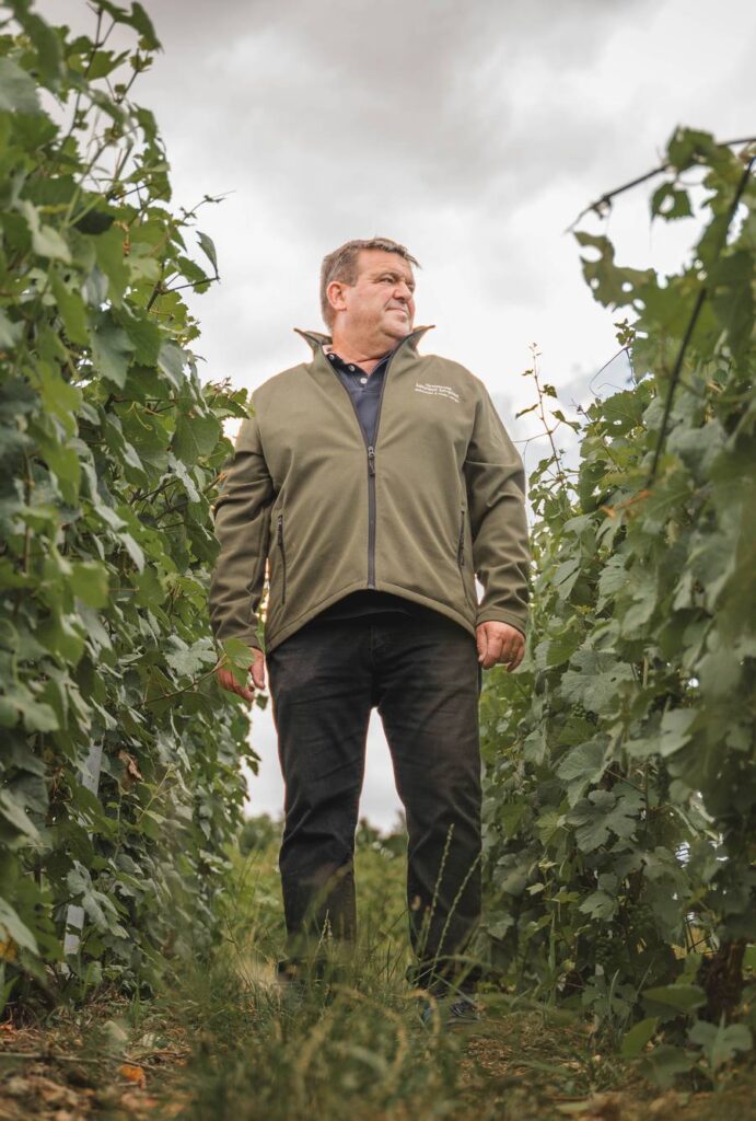 Laurent Lequart debout entre deux rangs de vigne à Passy-Grigny