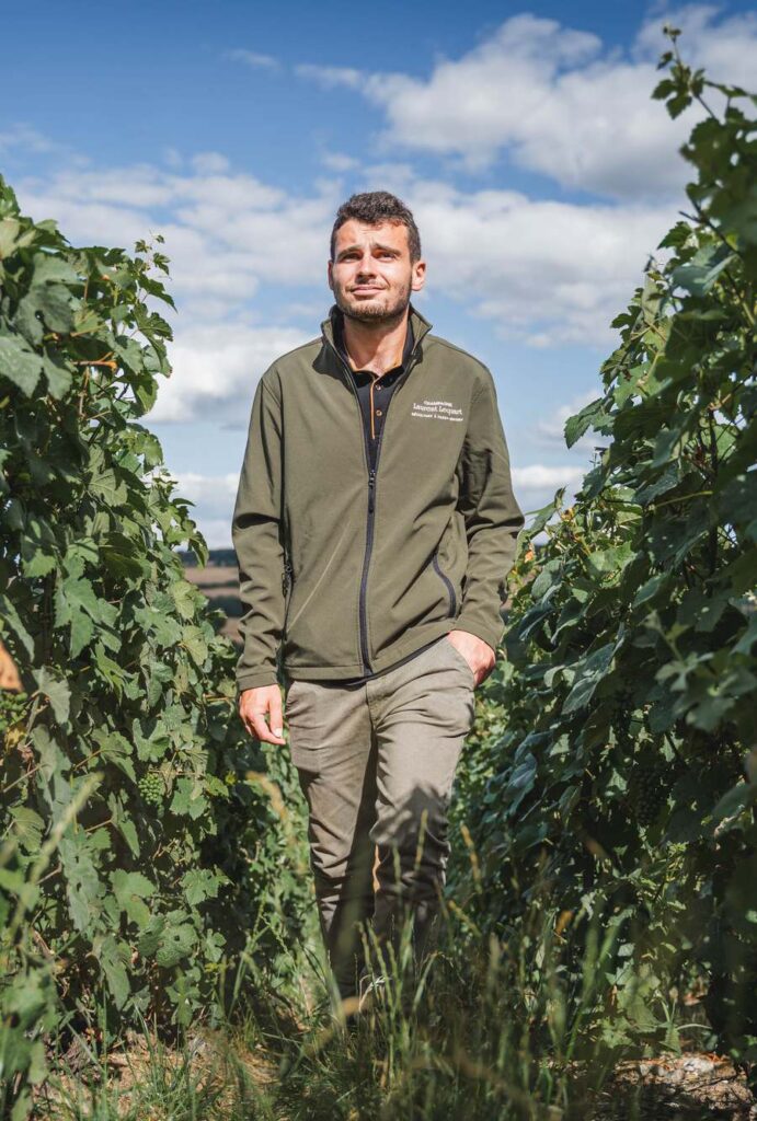 Jeune vigneron de la relève dans les vignes de Passy-Grigny