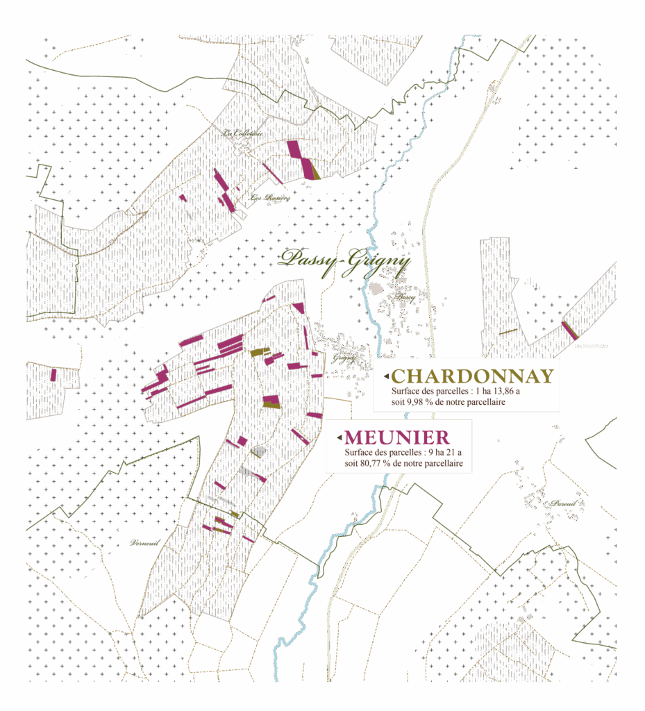 Carte des parcelles de Meunier et de Chardonnay du Rosé Andésyne à Passy-Grigny