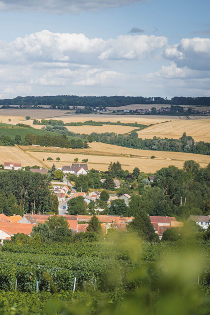 Vue sur le village de Passy-Grigny et son vignoble en vallée de la Marne